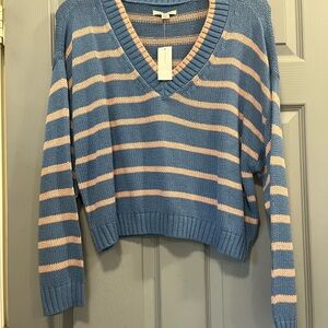 American Eagle Outfitters Blue and Pink Striped V-Neck Sweater